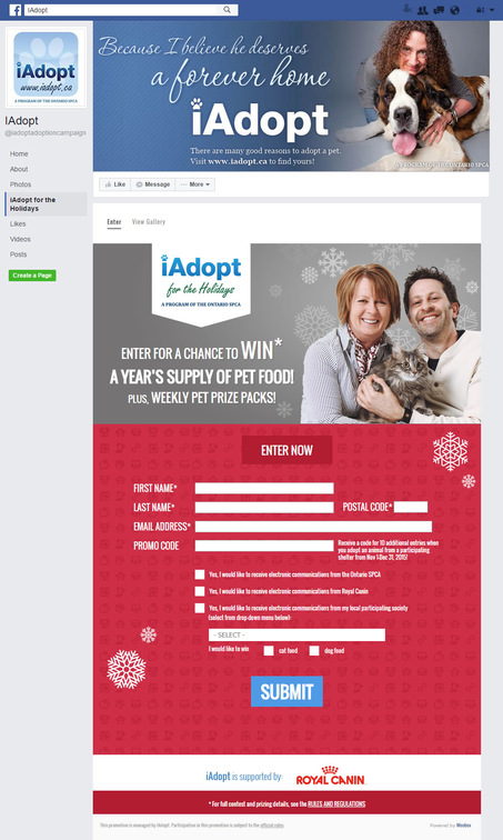 Email Marketing Practices