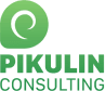partner Pikulin Consulting